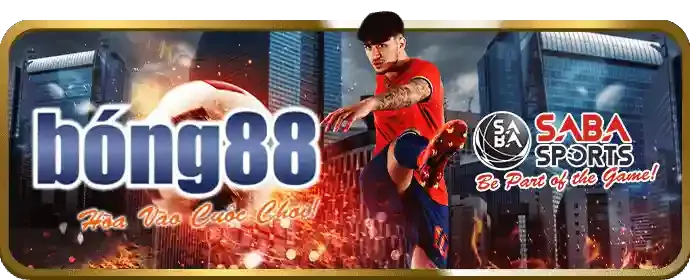 Hoàn trả thể thao hàng ngày/tuần QQ188